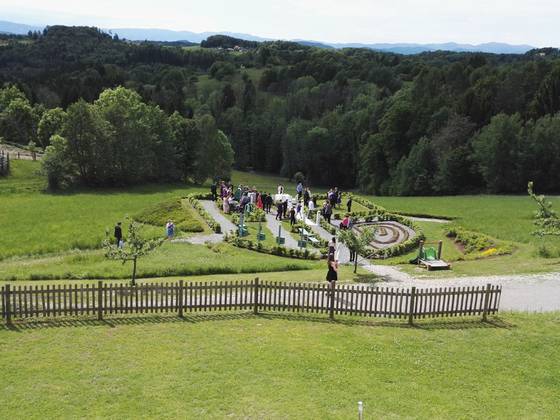 Wedding in the green lung