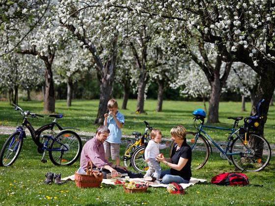 Discover the Styrian Apple Road with the GenussCard