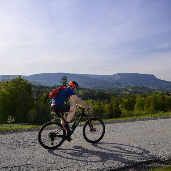 Cycling around the hotel Liebmann (c) pixelmaker - Region Graz