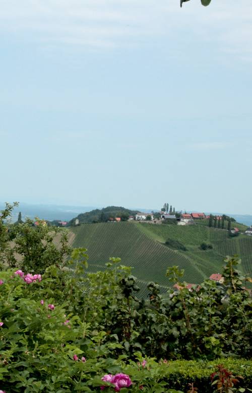 South Styrian Wine Route