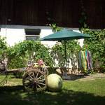 South Styrian Wine Route - Parasol Cooling