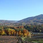 The apple country in autumn - Styria