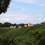 25 km long wine route in southern Styria