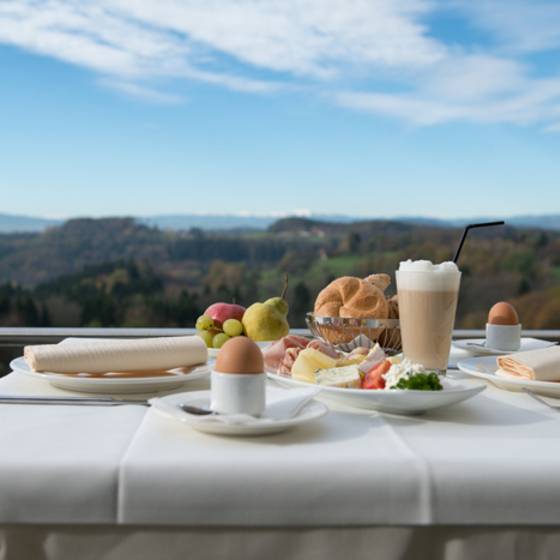 Enjoy breakfast with view in 4 star hotel Liebmann