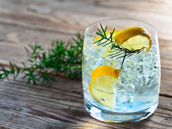 Gin tasting in 4 star hotel Liebmann