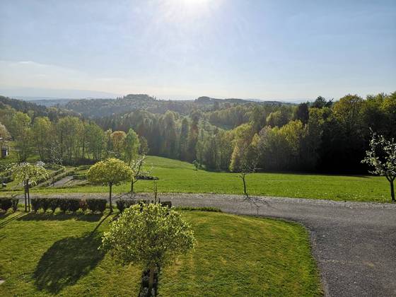 View from the park of the hotel Liebmann to the region Laßnitzhöhe